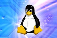Linux development security
