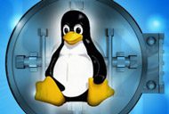 Security Enhanced Linux