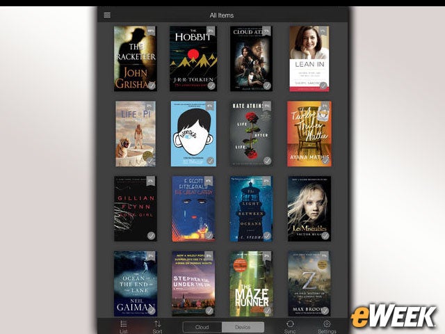 Kindle Puts iBooks In Question