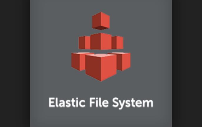 AWS elastic file system