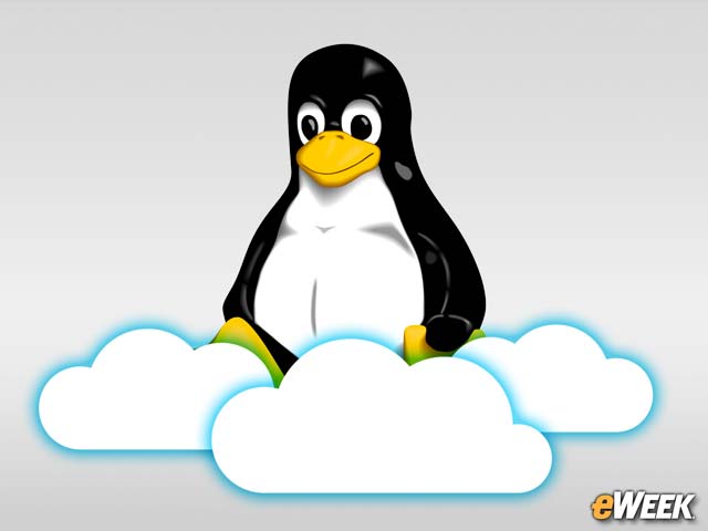 Linux OS is the Top Cloud Platform Choice