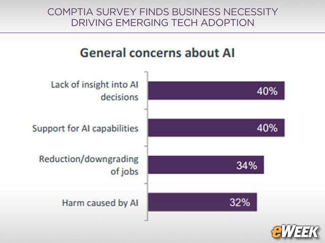 Doubts Linger about AI Insights and Support