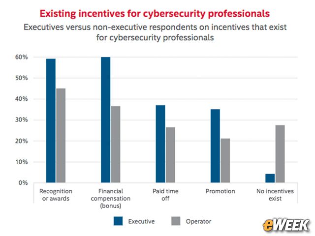 Cyber-Security Incentives Vary