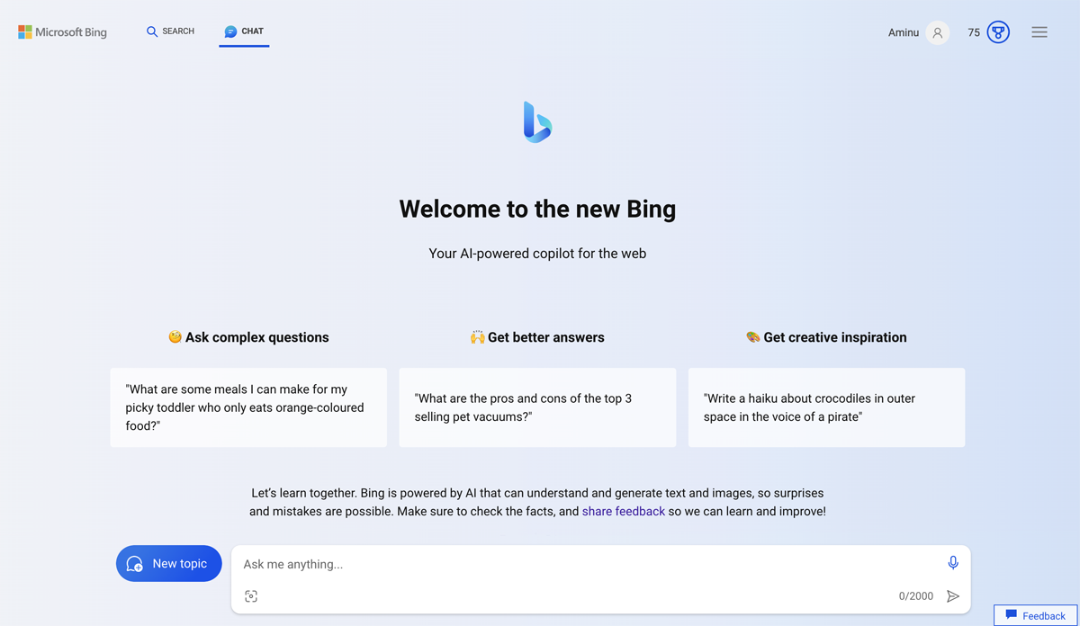 Bing Chat Enterprise web interface.